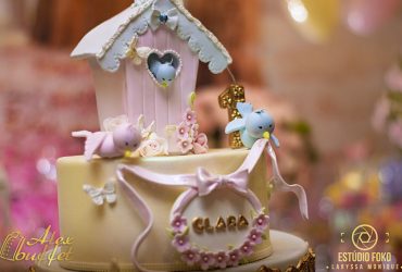 Clara 1 Ano (7)