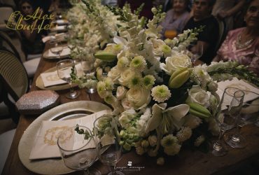 Bodas de Ouro - Geraldo Morato e Elzita (11)