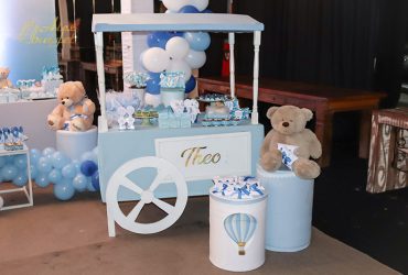 1º Aninho - Theo (16)