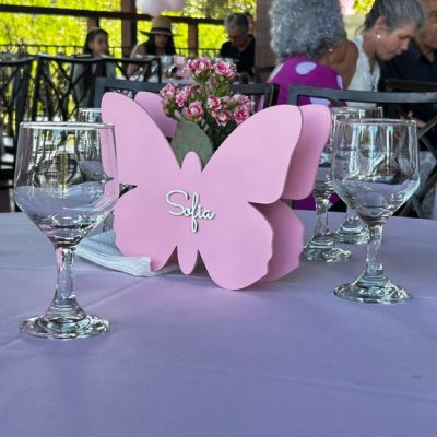 FestadeAniversarioSofia19.jpg
